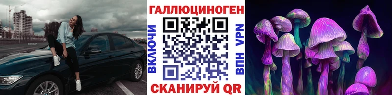 Галлюциногенные грибы мухоморы  Белозерск 