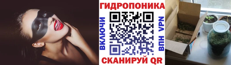 Канабис план  блэк спрут ссылки  Белозерск 